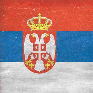 Serbia Flag Distressed 3DS (2011) Skin